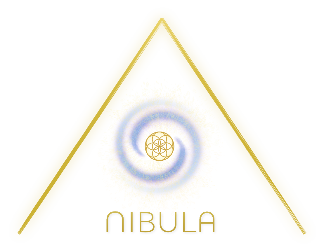 Nibula logo